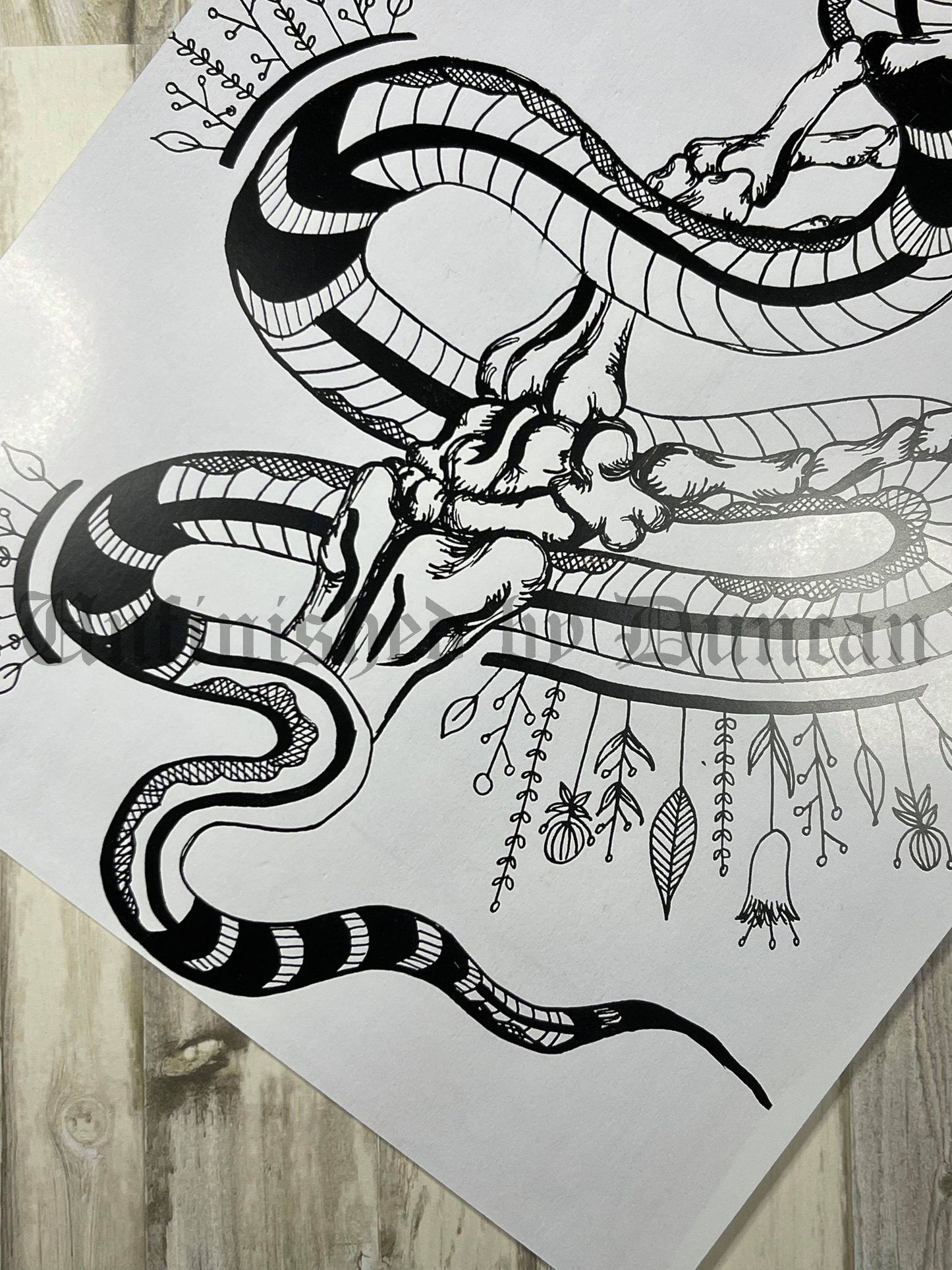 Skeletal Snake | Traditional Tattoo Inspired Art Print (Last Call)